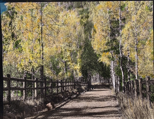 "Aspens In Autum" Limited Edition of One Print.