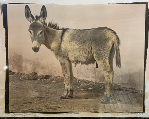"Pozos Burro" Limited Edition of Only One Print.