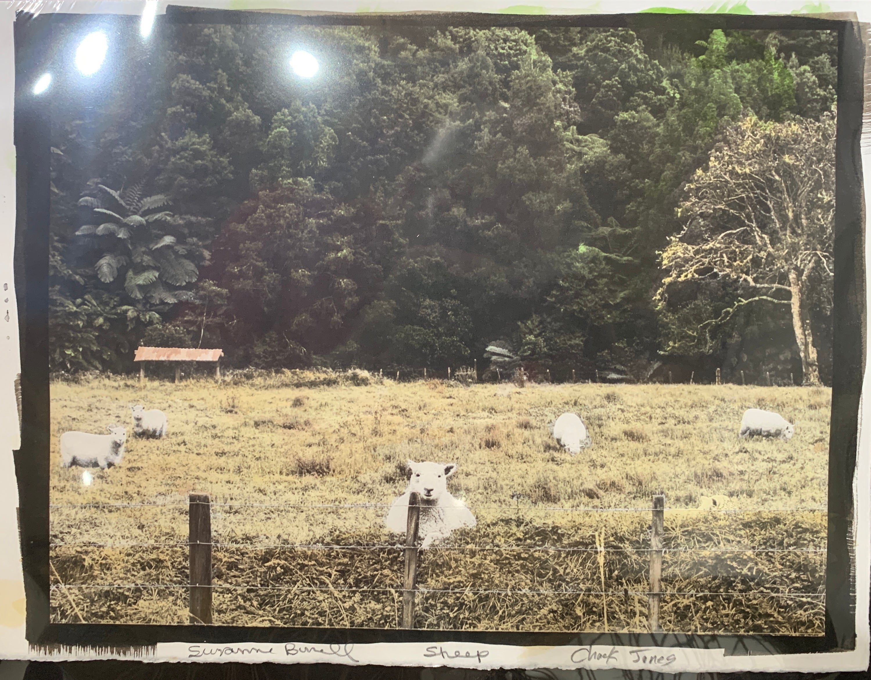 "Sheep" Limited Edition of One Print.