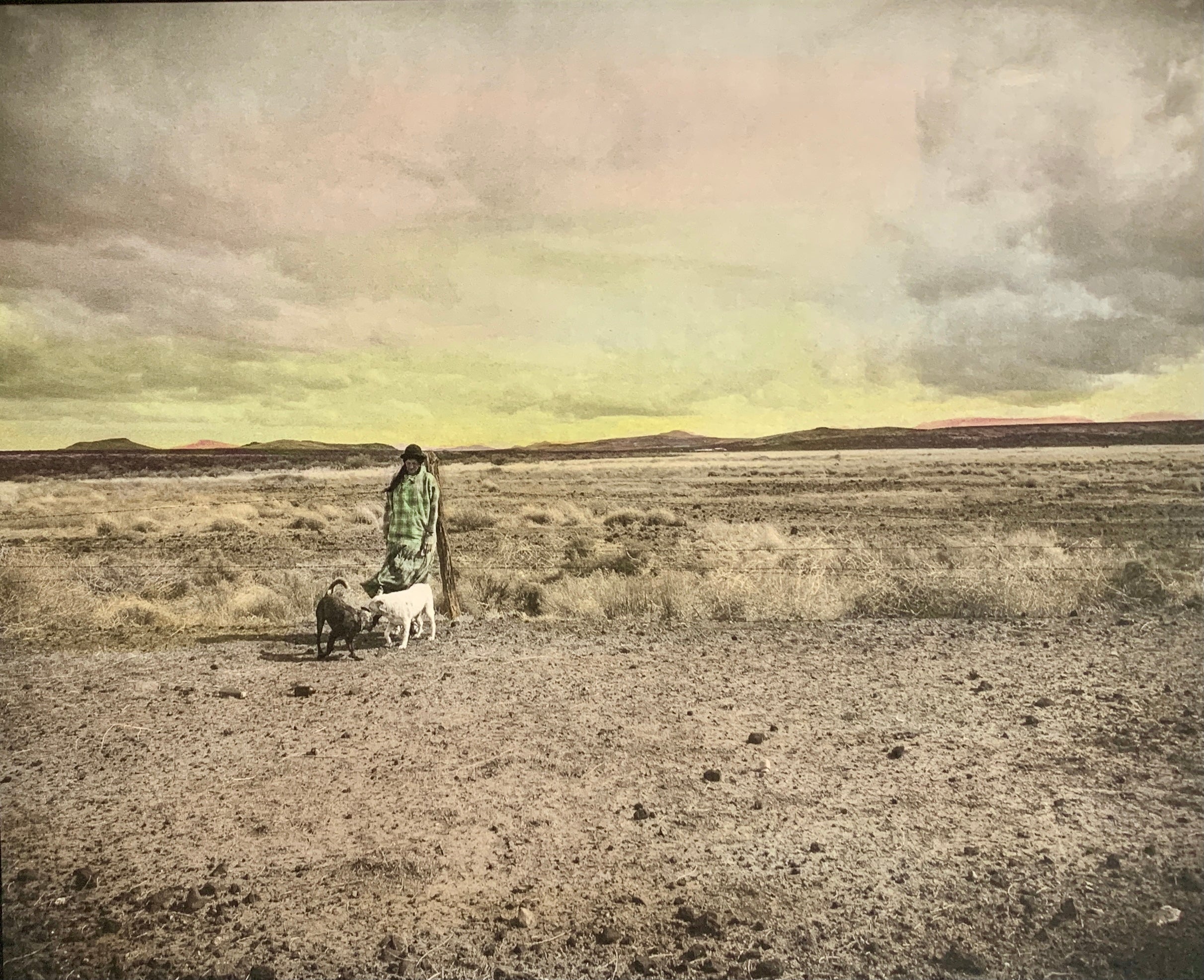 Two blue healer dogs playing with a woman in a flannel shirt standing on the New Mexico plains near Gallup, NM