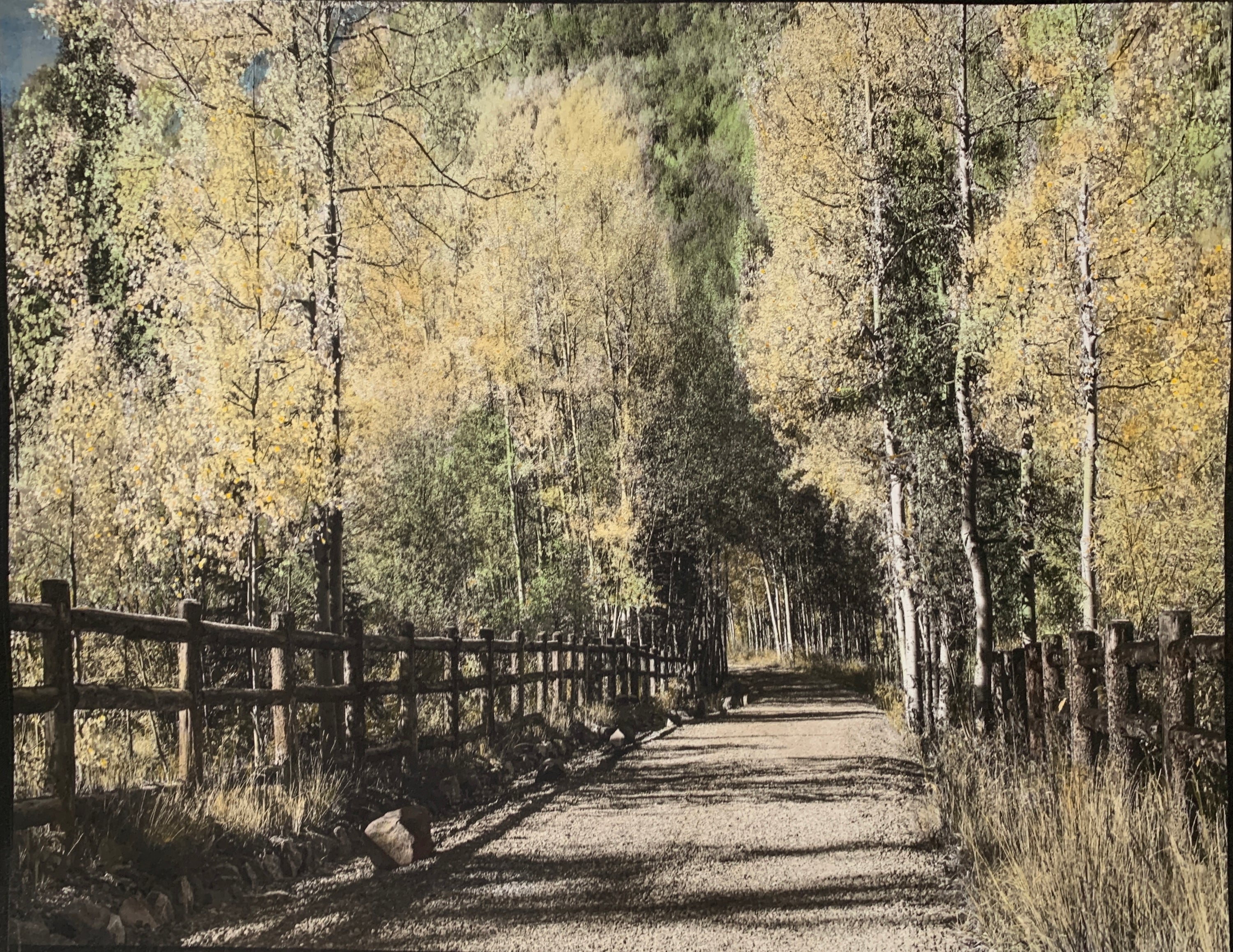 "Road Thru The Aspens" Limited Edition of One Print.